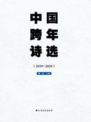 cover image of 中国跨年诗选（2019-2020）